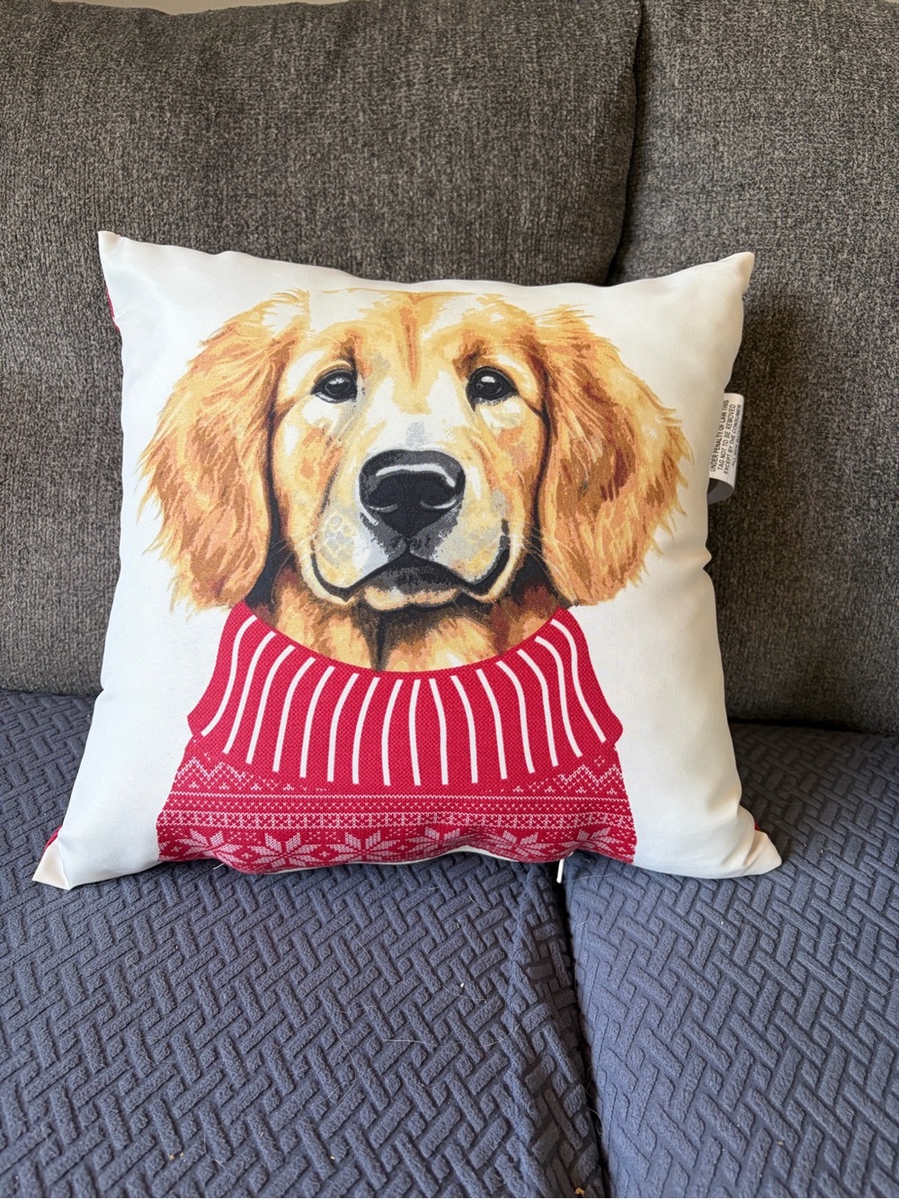Holiday Golden Retriever seasonal pillow 16x16 reversible decorative pillow